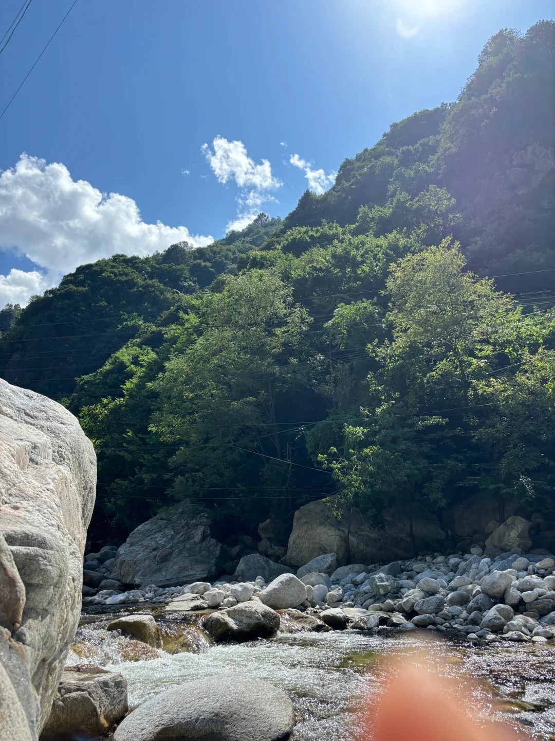 海豚