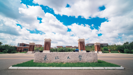 东北大学