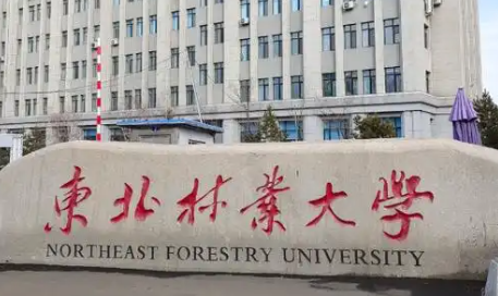 东北林业大学