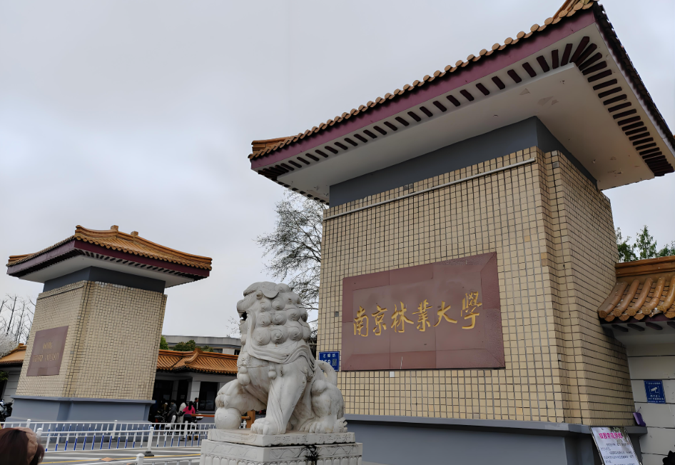 南京林业大学
